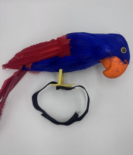 Blue red feather parrot - blue, bird