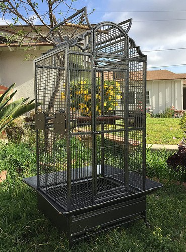 Large elegant bird parrot - elegant,