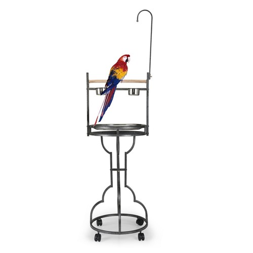Parrot perch playstand - parrot,